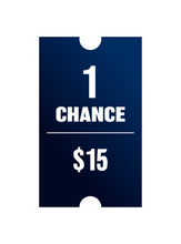 Load image into Gallery viewer, 1 chance for $15
