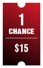 Load image into Gallery viewer, 1 chance for $15
